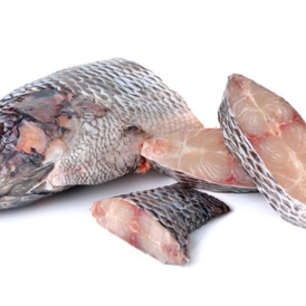 Tilapia coupé congelé (le sachet 1kg)