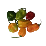 Piment antillais (250g)
