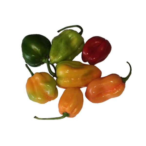Piment antillais (250g)