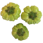 Djakatou fraîche 500G