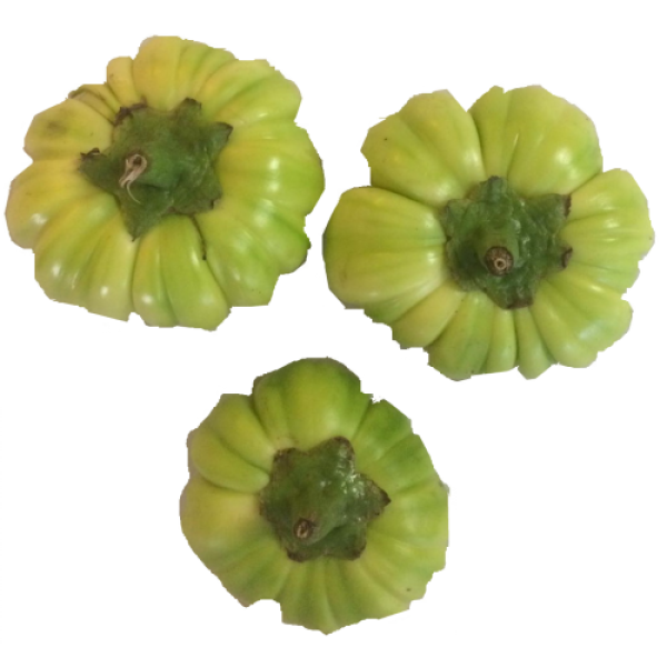 Djakatou fraîche 500G