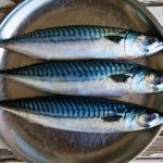 Mackerel 1kg