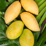 Mango 1pcs